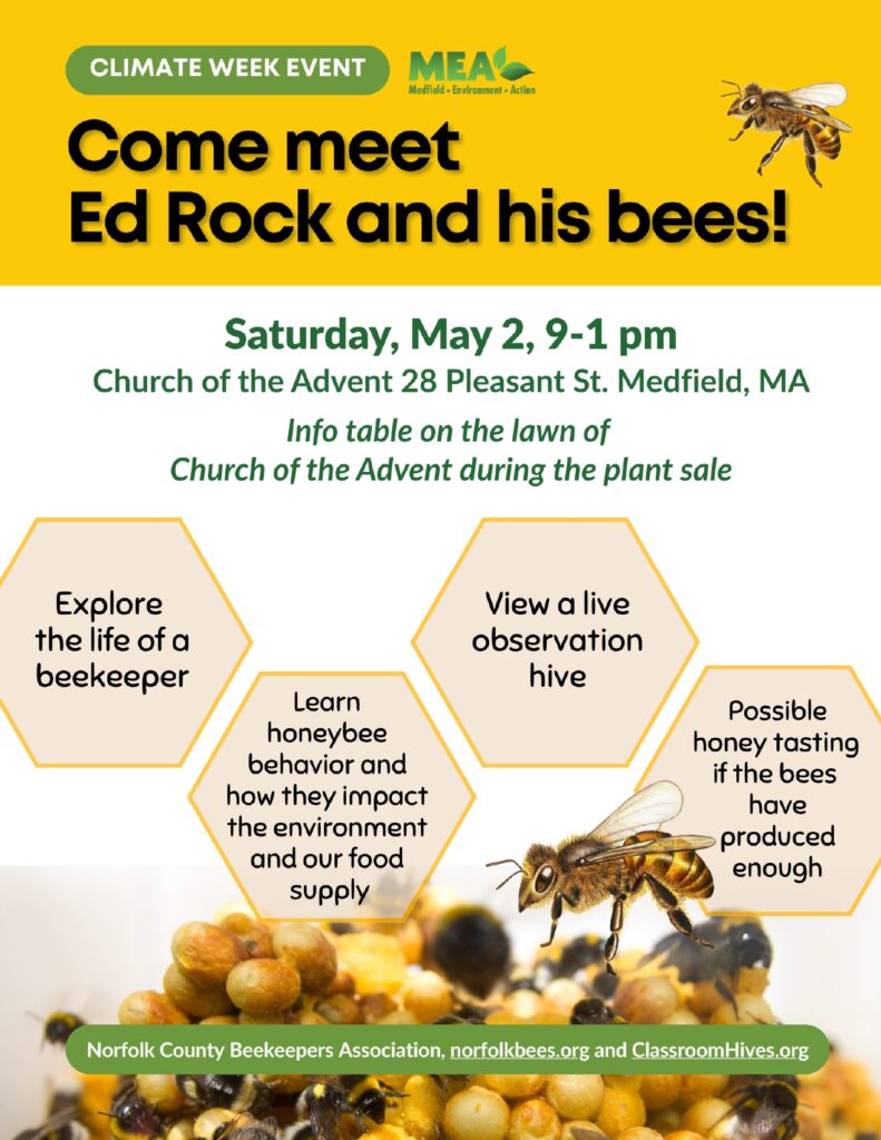 Honeybee Info Table Meet Ed Rock and His Bees