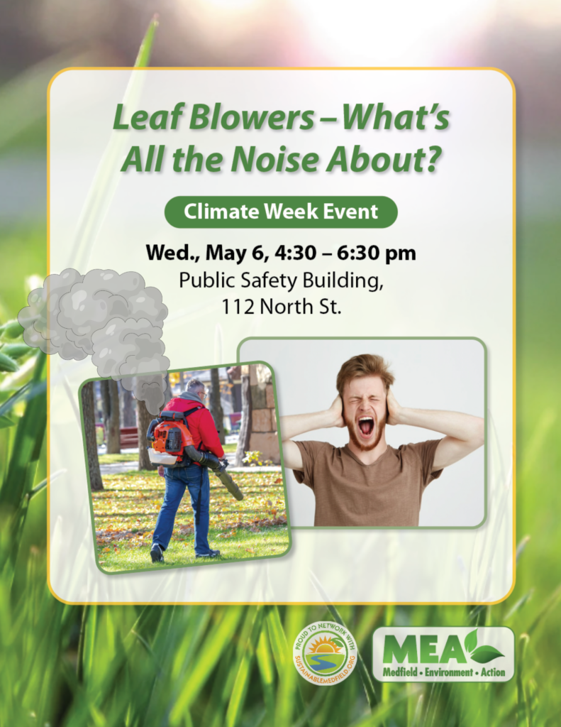 Leaf Blowers – What’s All the Noise About?