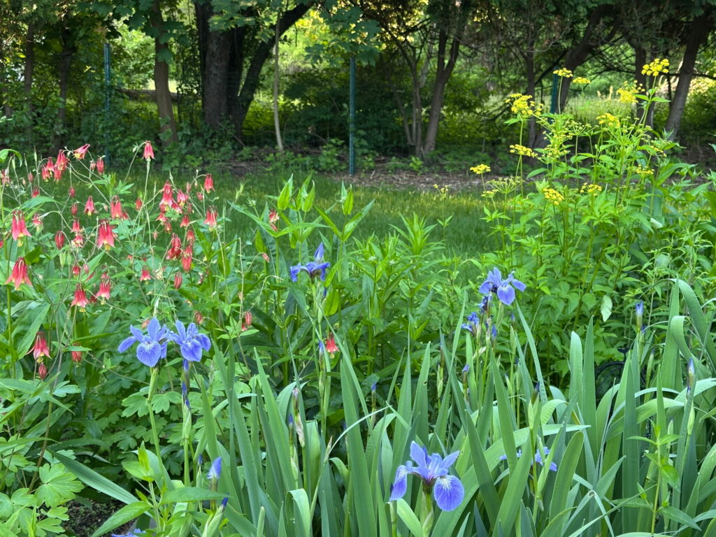Gardening and Landscaping with Nature in Mind