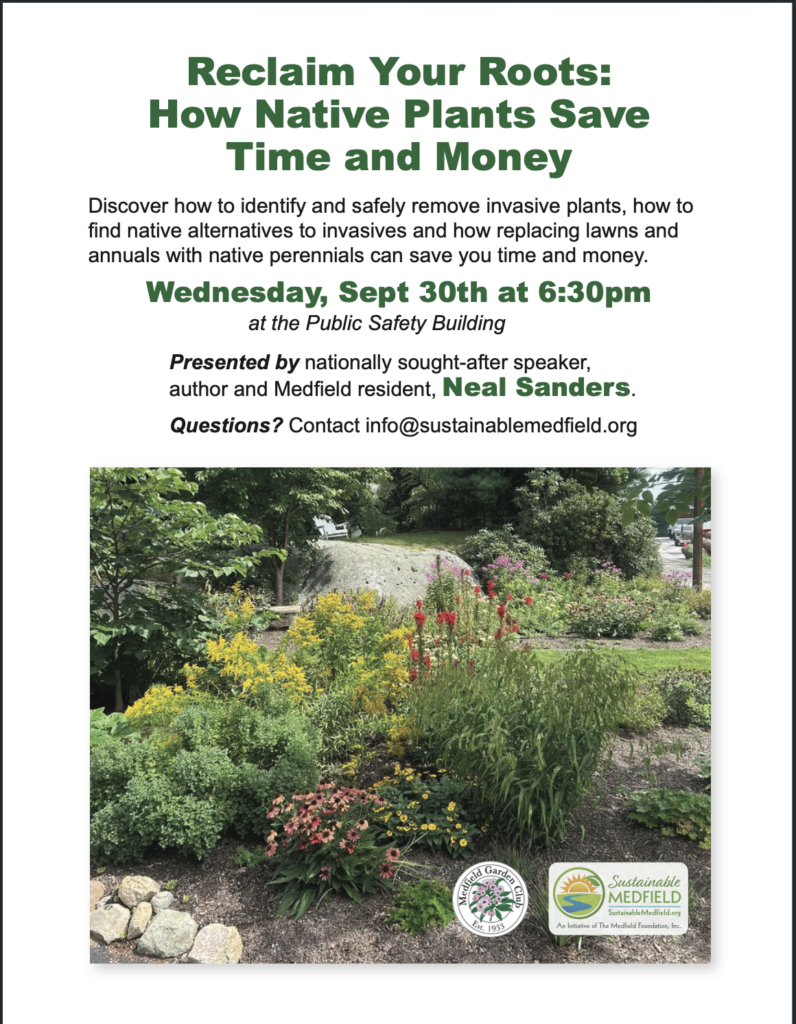 Reclaim your Roots: How Native Plants save Time and Money