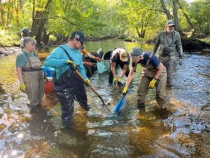 2026 Neponset River Fall Cleanup