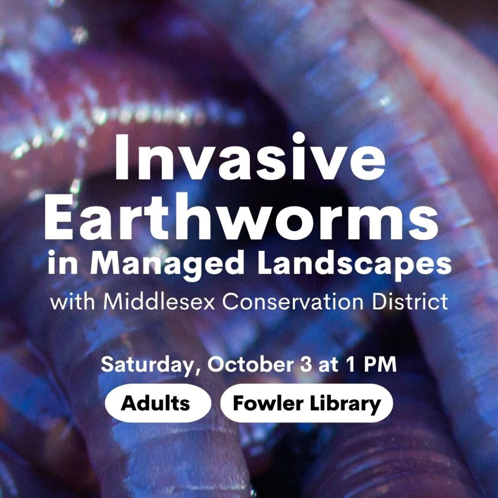 Invasive Earthworms in Managed Landscapes: Impact and Solutions <span class="mmes-shared-tag">Shared From Cooler Concord</span>